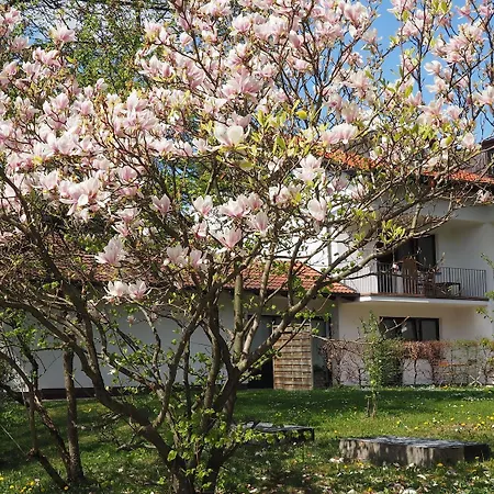 Am Moosfeld Monachium