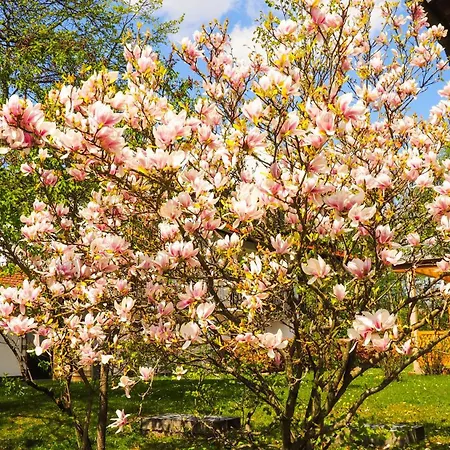 Ξενοδοχείο Am Moosfeld Μόναχο