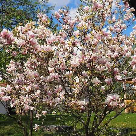 Hotel Am Moosfeld Monachium