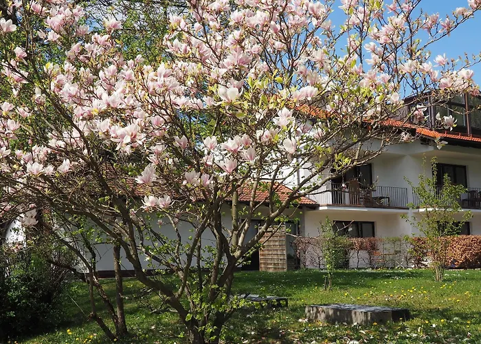 Am Moosfeld Μόναχο