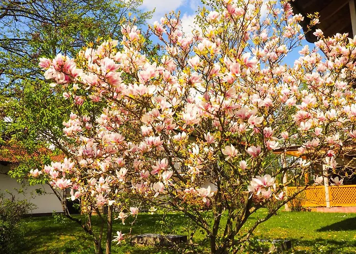 酒店 艾玛慕斯菲尔德酒店 慕尼黑