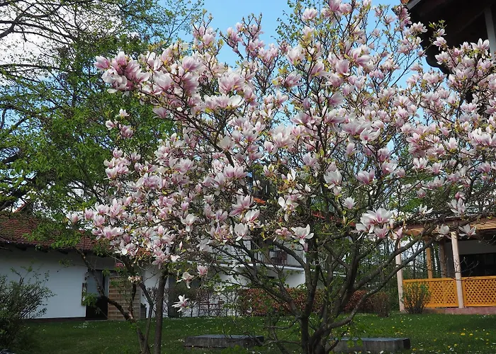 艾玛慕斯菲尔德酒店