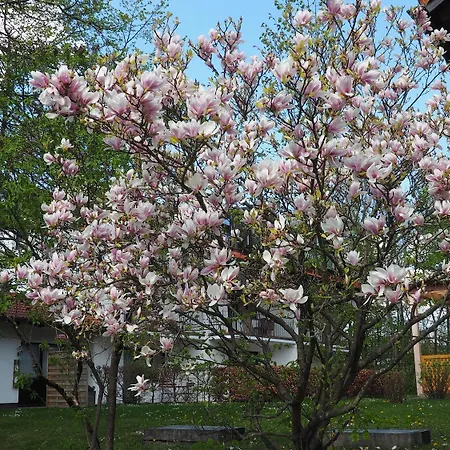 アム モースフェルト